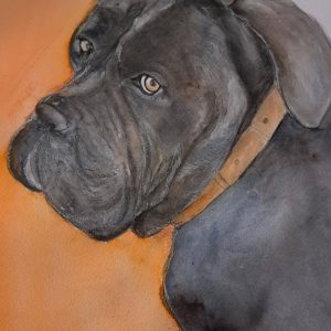 Rosco