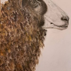 Zwartbles