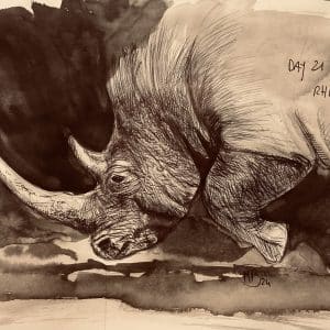 Rhinoceros